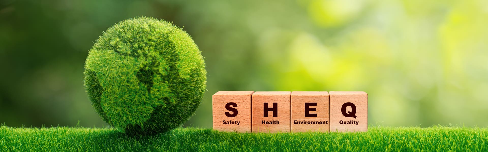 SHEQ - Danway Group